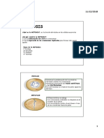 Apuntes Mitosis y Meiosis