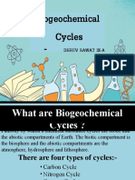 Biogeochemical Cycles: Dhruv Rawat Ix-A