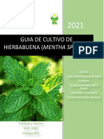 Guia de Hierbabuena (Mentha Spicata)