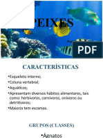 Aula Peixes