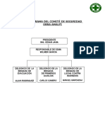 Organigrama Del Comité de Seguridad