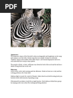 Zebra Taxonomy and Classification | PDF | Zebra | Equus (Genus)