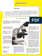 Microscopia 3 enfermagem