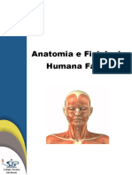Anatomia e Fisiologia Humana Facial