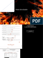 Anexo Oclusion PDF