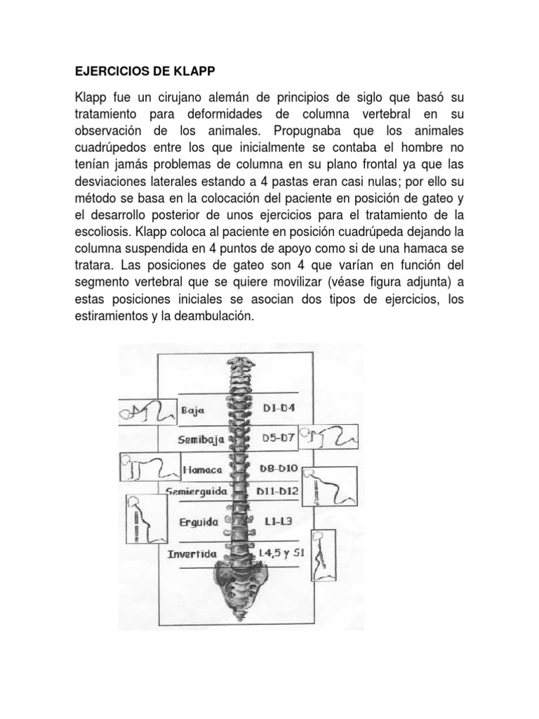 Ejercicios Klapp para Escoliosis | PDF | Escoliosis | Anatomía humana