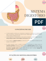 Sistema Digestório: Funções e Processos