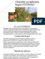 Păstrarea Fructelor Cu Aplicarea Tehnologiei FITOMAG
