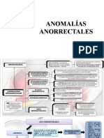 Anomalias Anorrectales