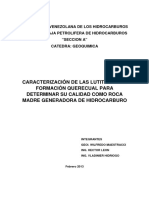 Trabajo Final de Geoquimica Faja Petrolifera Del Orinoco