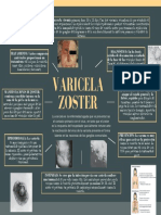 Varicela Zoster