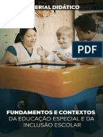 Fundamentos e Contextos Da Educação Especial e Inclusão Escolar