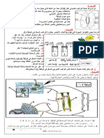 2السلسلة الجديدة