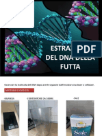 DNA FRUTTA