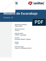 Tarea 10.1 - ModeloEscarabajo