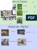 Flora y Fauna Del Predio