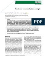 The Plant Journal - 2021 - Yu - Mechanisms and Functions of Membrane Lipid Remodeling in Plants