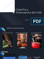 Fermentación del Café