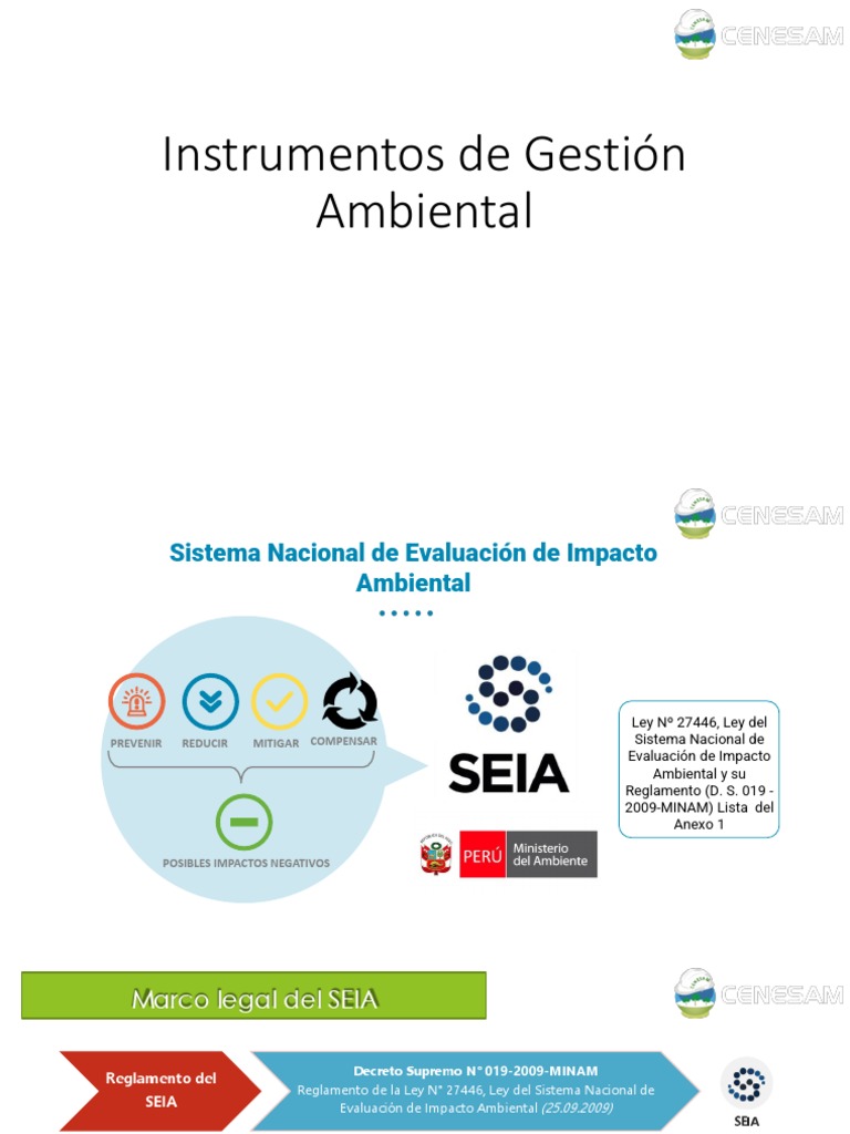 Instrumentos de Gestión Ambiental en Perú | PDF | Evaluación de impacto ...