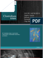Clostridium Tetani