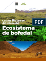 Guia de Evaluacion Estado de Ecosistema Bofedal Web