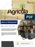 Taller Hidroponía