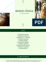 2 Anatomie Clinica