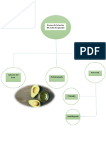 Esquema 1 Extraccion de Aceite de Aguacate