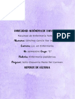 REPORTE DE LECTURA_DIMENSIONES