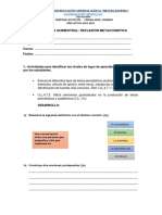 Evaluación quimestral Lengua y Literatura