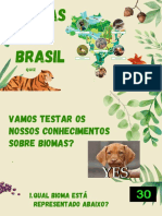 Cópia de Biomas Do Brasil