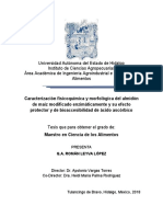 Caracterización Fisicoquímica y Morfológica Del Almidón de Maíz Modificado Enzimáticamente.