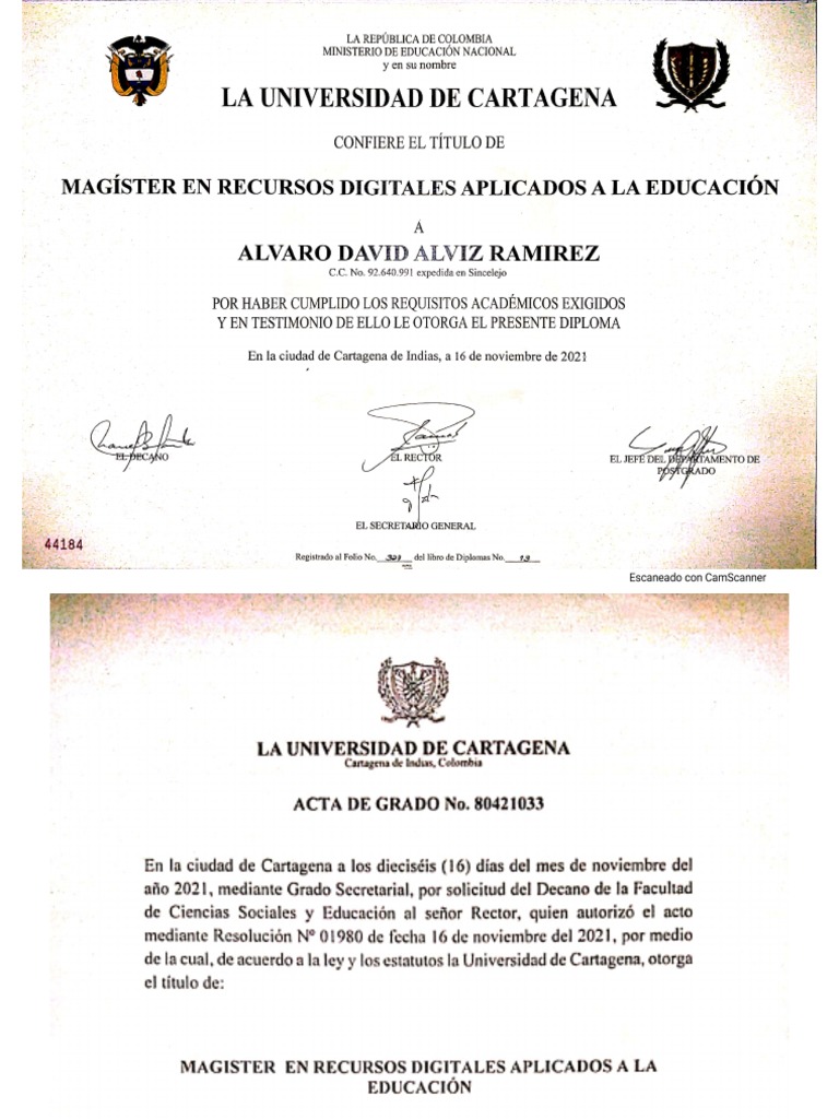Diploma Maestría | PDF