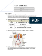 Sistem Ekskresi-8