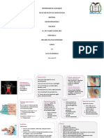 Diagnostico de La Patologia Pulpar en Odontopediatria