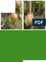 Manual de Manejo Agronomico de Mango 2