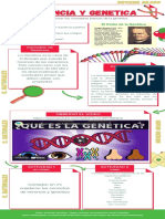 Herencia y Genitica