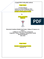 Research Project Format