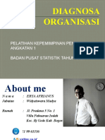 BT Diagnosa Organisasi Ir. Erya Afrianus 2076