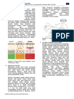 Terminalis: Jurnal Kesehatan Pasak Bumi Kalimantan, Vol 3 No 1, 1 Juni 2020 pISSN: 2654-5241 eISSN: 2722-7537