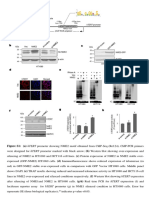 Supp M117.792077 Supp Data