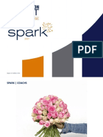 SPARK TOT - Déroulé 2021 VF - DEF