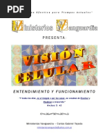 Mv - Vision Celular