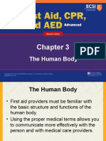 Ch03 Presentation Human Body