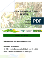 Sistemas de Producao de Milho - Alexandre Ferreira