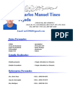 Curriculum de Manuel Tieno