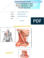 Anatomia Aplicada 1
