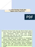 Tanaman Penutup Tanah Atau Legum Cover Crop (LCC)