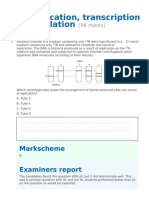 DNA Replication Transcription and Translation