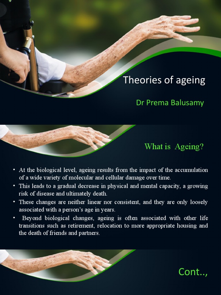 Nursing Theories of Aging Explained | PDF | Ageing | Obesity